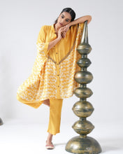 Load image into Gallery viewer, PICRO SET