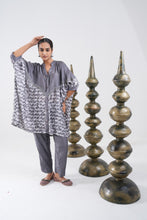 Load image into Gallery viewer, PICRO SET