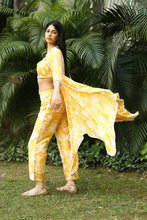 Load image into Gallery viewer, Somer set